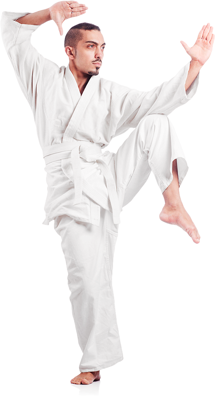 Karate Guy